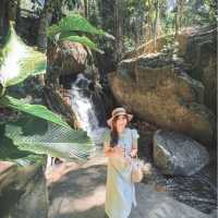 Teddu Coffee คาเฟ่สวยท่ามกลางธรรมชาติ ณ แม่กำปอง