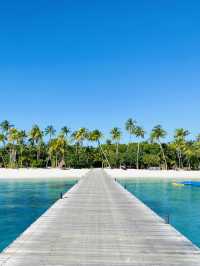 몰디브 현지인들도 인정한 아름다운 리조트🌴💙