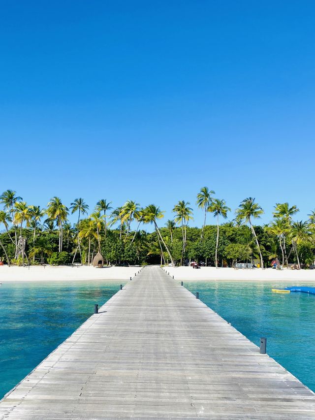 몰디브 현지인들도 인정한 아름다운 리조트🌴💙