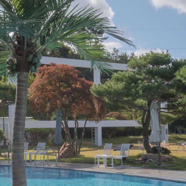 태안에서 동남아분위기 느낄 수 있는 엘렌리조트 🌴✨