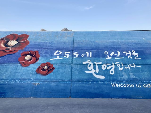 🌺동백꽃 군락으로 유명한 '여수 오동도'
