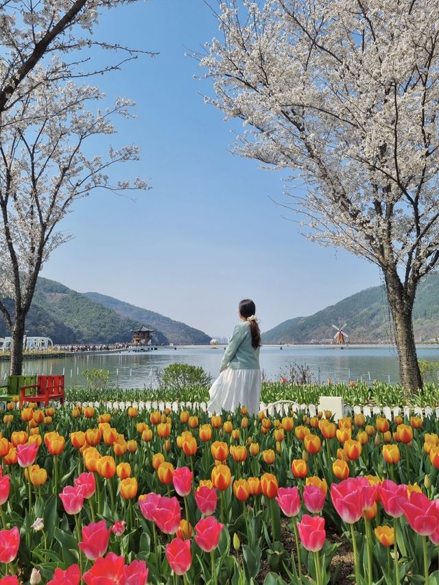 주말 나들이, 봄꽃 보러 송해공원 어때요🌷🌸