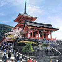 Kiyomizu-dera, Kyoto in Spring! 🌸🍀🌿🌱