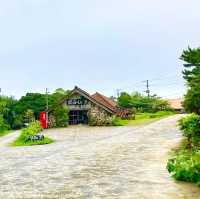 沖縄をおうちでも感じれるお土産 やちむん【やちむんの里】