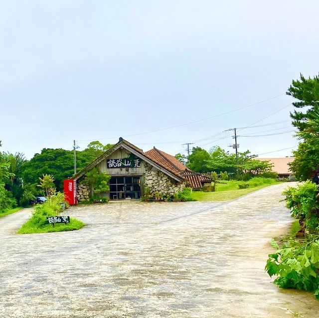 沖縄をおうちでも感じれるお土産 やちむん【やちむんの里】