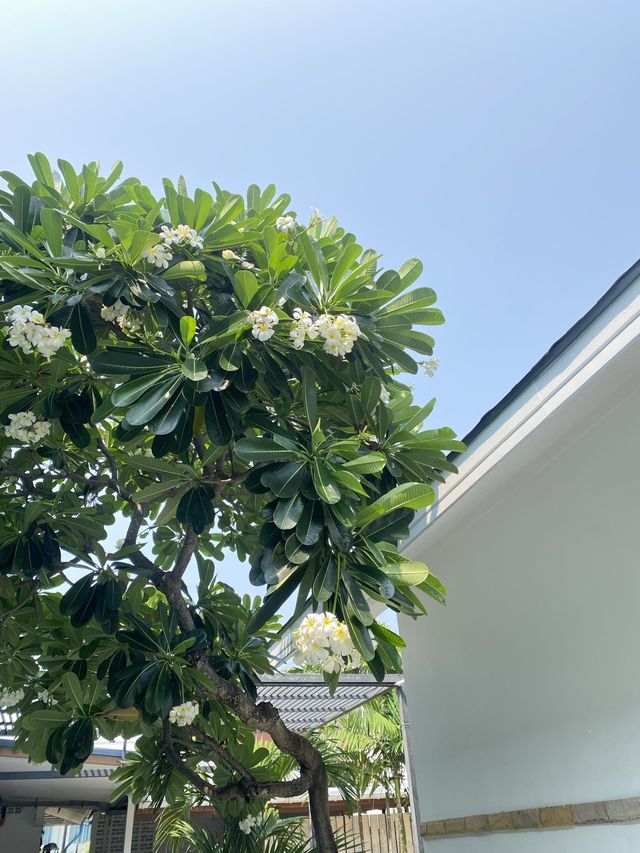 🏖️ รัตนปุระ รีสอร์ท🌤️👒