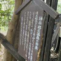 鹿児島県・旅行人山荘の貸切風呂「赤松の湯」は大自然の中にある