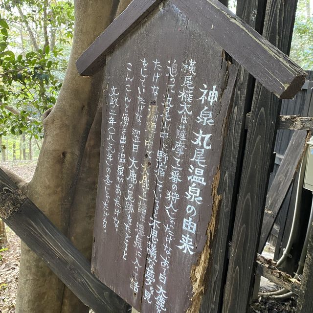 鹿児島県・旅行人山荘の貸切風呂「赤松の湯」は大自然の中にある
