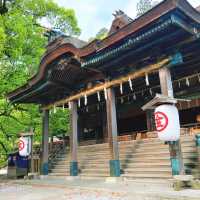 【香川】785段の石段登った先にある神社⛩️