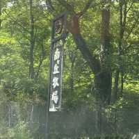 【栃木】那須高原で遊ぶなら南ヶ丘牧場