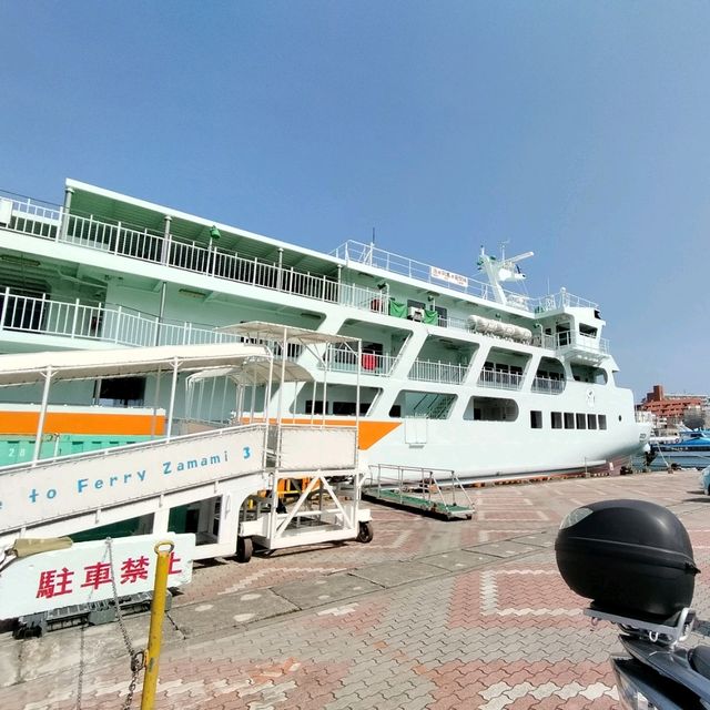 【沖縄】慶良間諸島へは『とまりん』からフェリー✨
