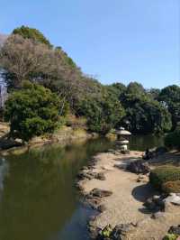 Prettiest Park in Tokyo - Shinjuku Gyoen