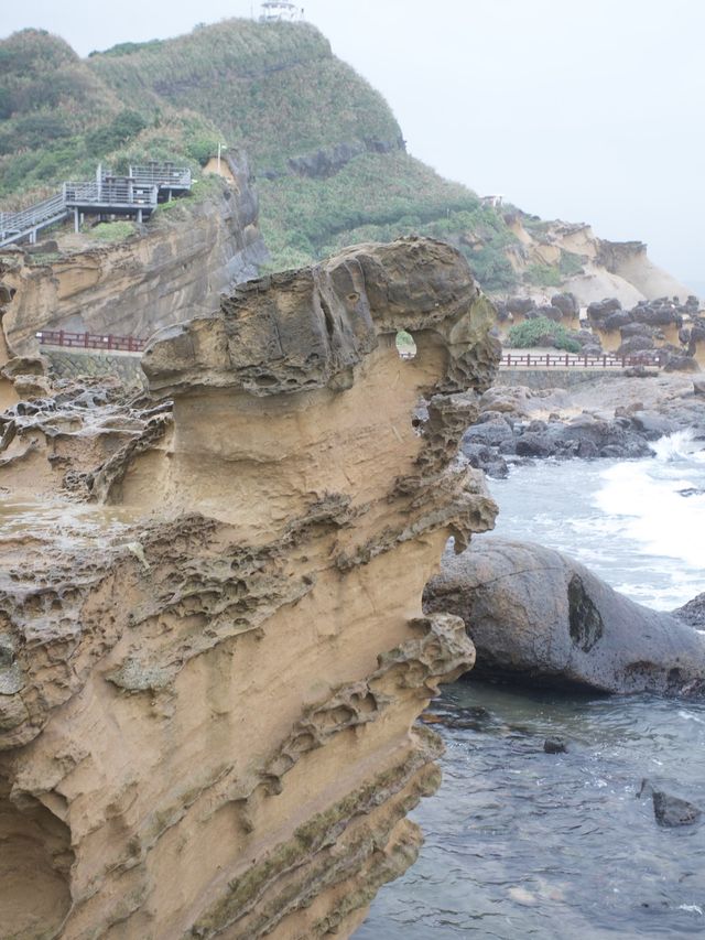 野柳地質公園與女王頭打卡
