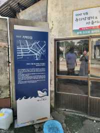 소망가득담은 기적을 바라는 거제 송구영신소망길🙏