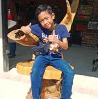 Razia Rimba Zoo Have Fun