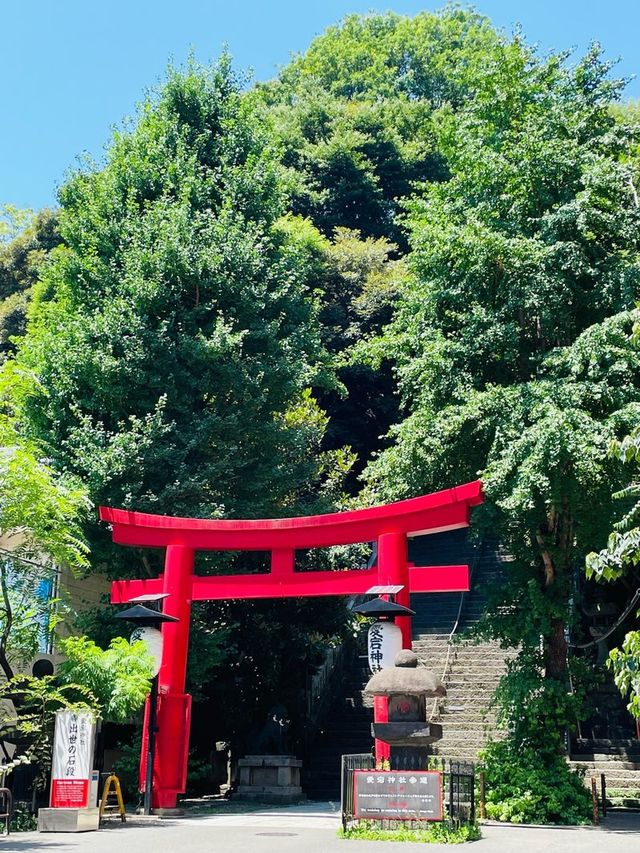 【東京都/愛宕神社】息を呑むほどの急な石段がある神社