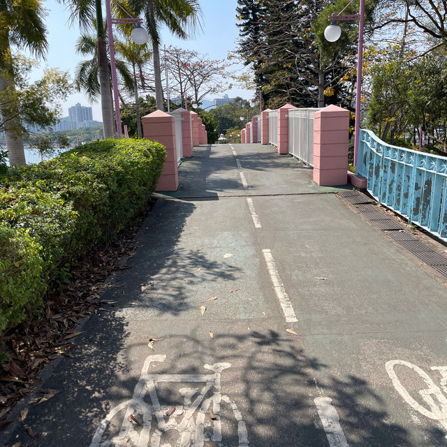 沙田單車遊🚲