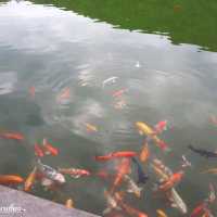 โรงแรมอวตาร มิราเคิลส์ ที่พักกลางหุบเขา