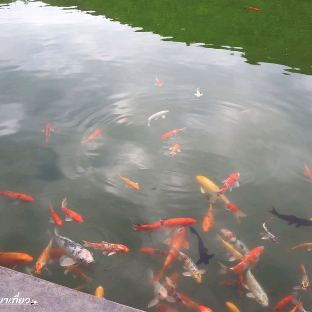 โรงแรมอวตาร มิราเคิลส์ ที่พักกลางหุบเขา