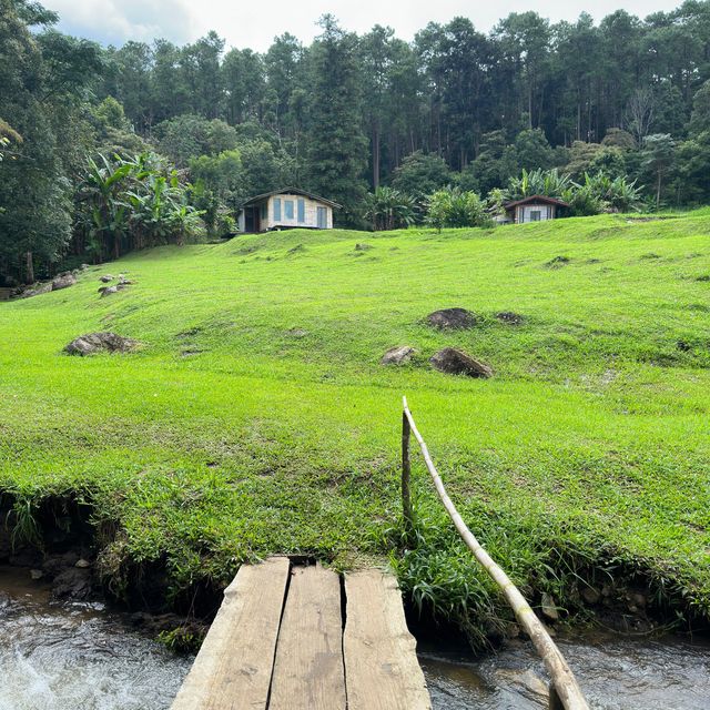 📍Seclee Farm & Camping ริมลำธาร กลางหุบเขา
