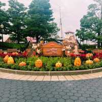 🎃非攻略🎃輕鬆暢遊東京迪士尼海洋🎢