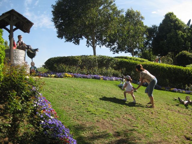 beautiful garden in a valley of vineyards