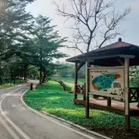 優美湖景-八掌溪親水公園