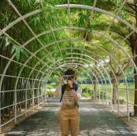 CHAN nature cafe' คาเฟ่ที่ถูกโอบล้อมไปด้วยแคตตัส