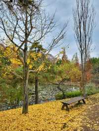 아직은 보내기 싫은 늦가을 즐기기🍁