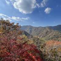 The Place with Eternal Autumn Foilage!