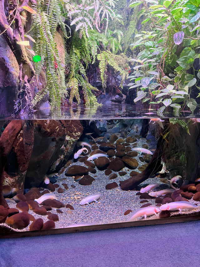 추위걱정 없는 실내 데이트는 아쿠아리움🩵🐠