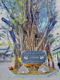 กราบไหว้สิ่งศักดิ์สิทธิ์ | วัดศรีสุพรรณ | เชียงใหม่