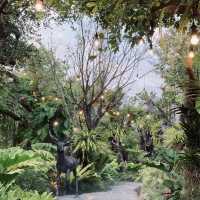 The Tall  Trees  คาเฟ เกาใจ