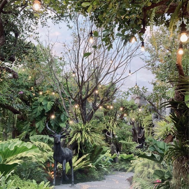 The Tall  Trees  คาเฟ เกาใจ