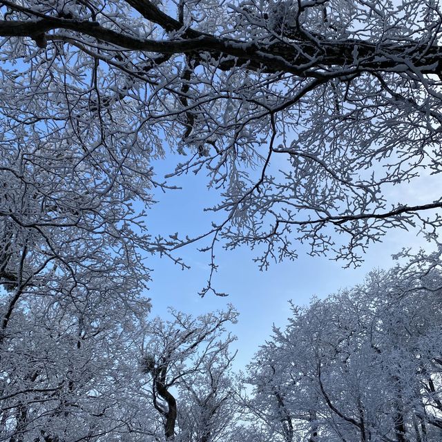 제주도 한라산 백록담 눈쌓인 설산 보고왔어요