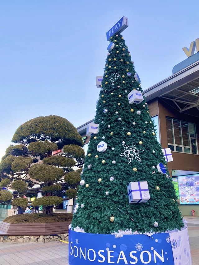홍천 스키장 추천
