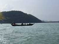 Pink Dolphins at Khanom, Nakhon Si Thammarat 