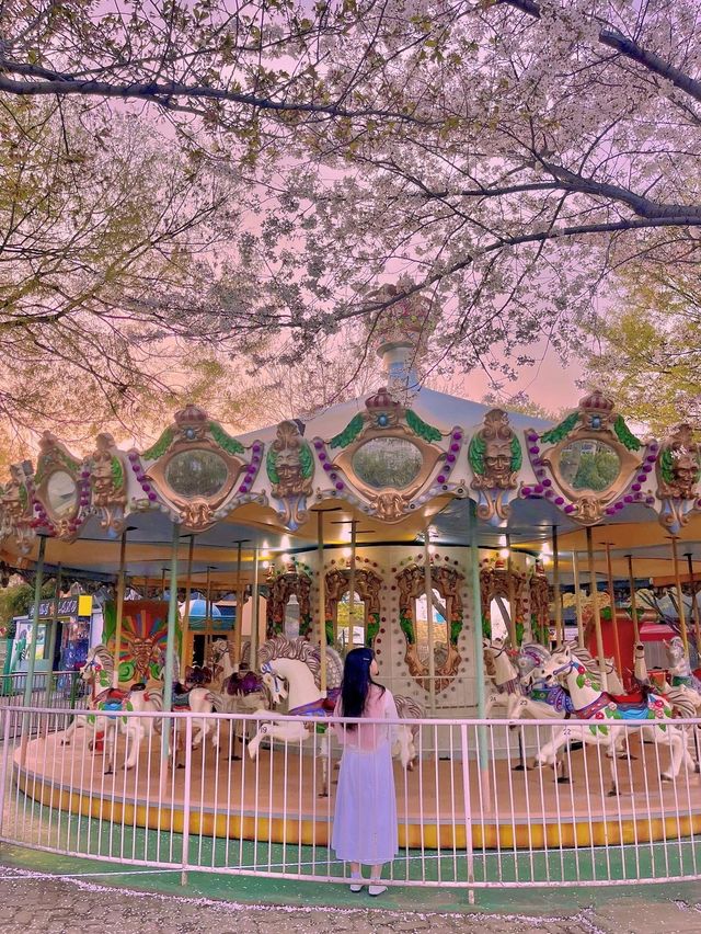 동화 속에 온 듯한 벚꽃뷰 놀이공원 🎡🌸