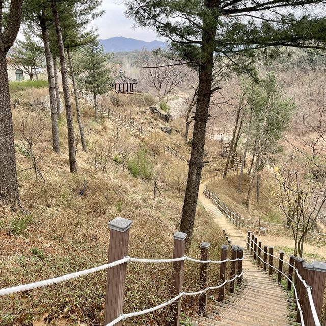 철원 한탄강 신선놀음, 고석정 배 타는 곳 추천⛵️