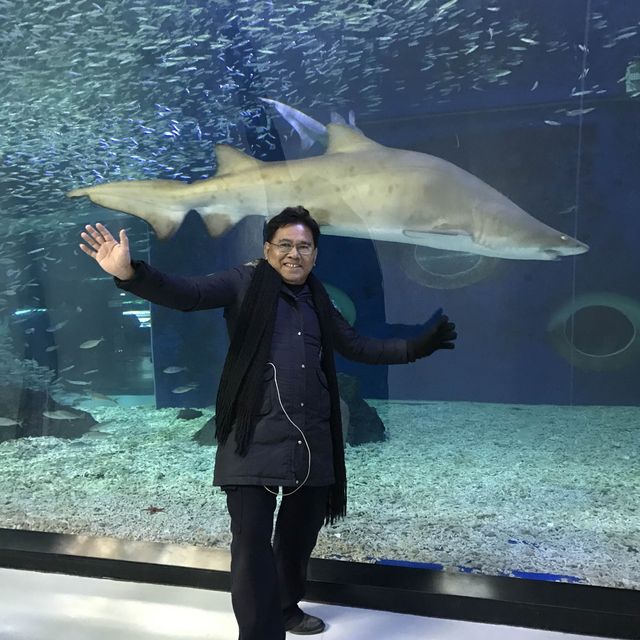 largest aquarium in Asia - Aqua Planet jeju