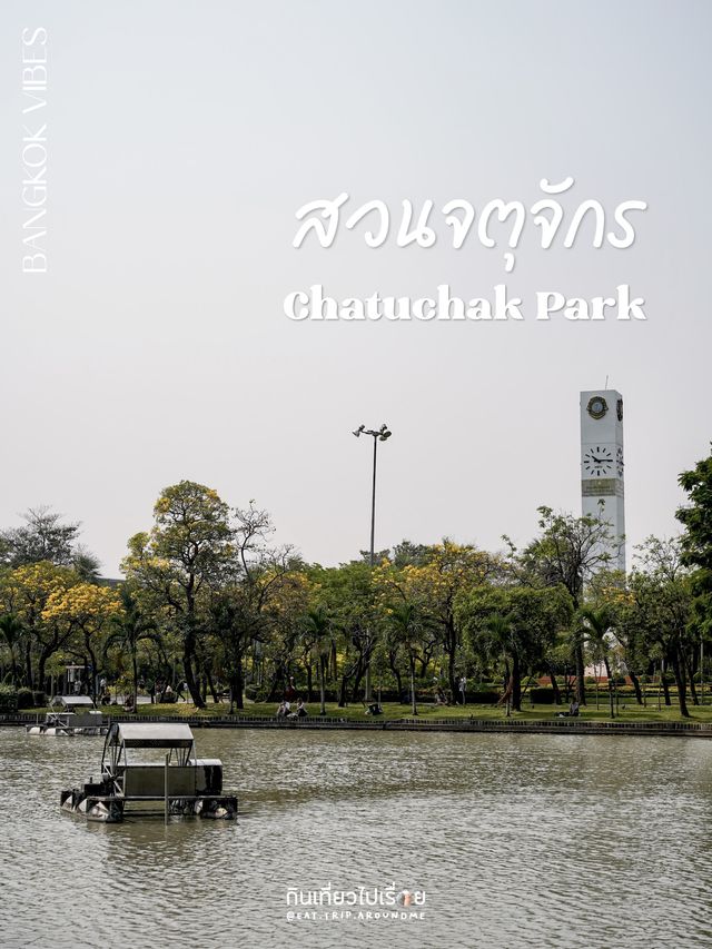 ปิคนิครับลมที่สวนจตุจักร
