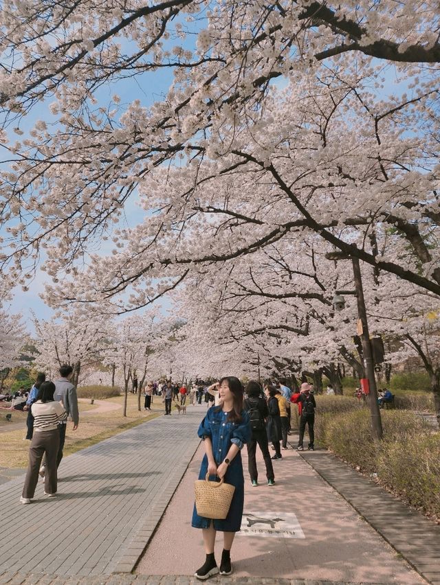 봄꽃 가득해 인기만점인 북서울꿈의숲🌱🌺🪻