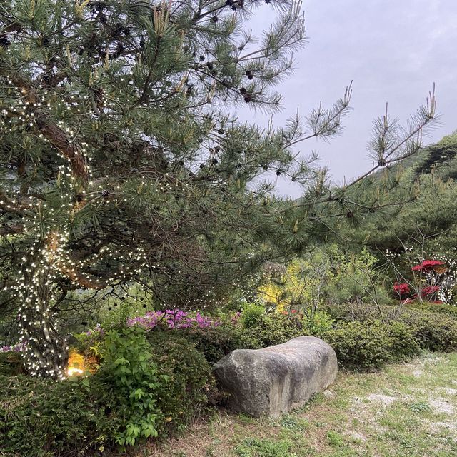 대전 근교, 금산 부모님과 꽃구경 하늘물빛정원
