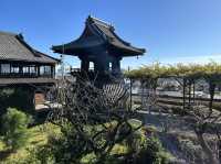 【静岡県】徳川家康も勉学に励んだ！清見寺をご紹介