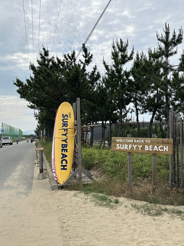 여름에 서퍼들로 붐비는 HOT한🔥곳. 양양 서피비치🏄‍♂️
