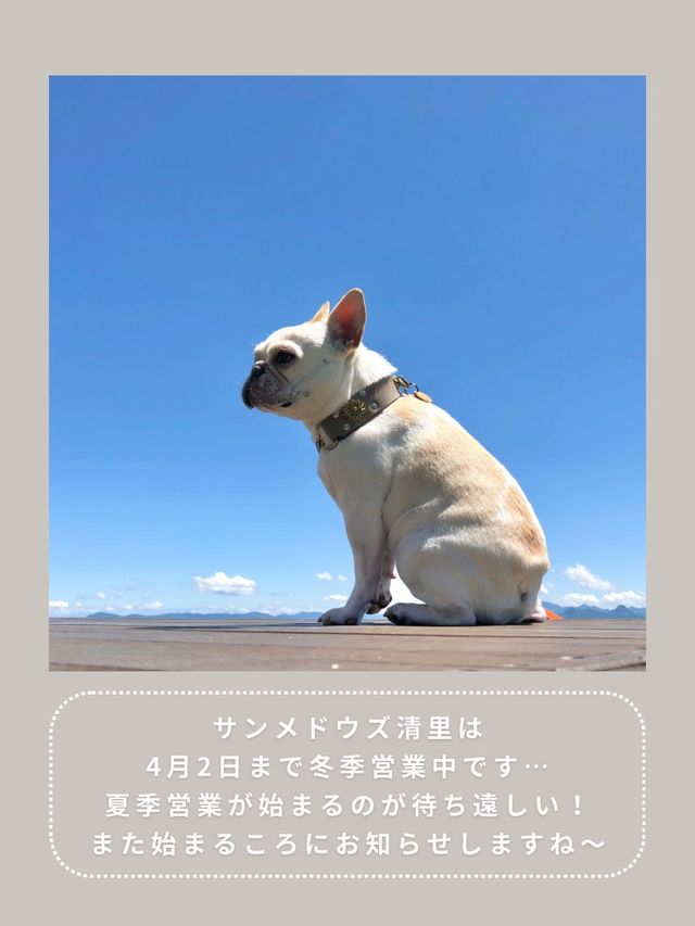 【長野】わんこと行ける絶景スポット🌿