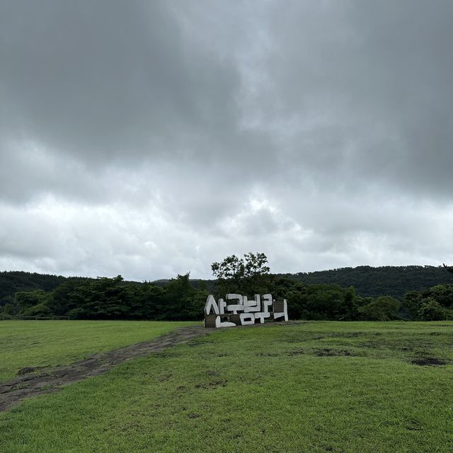 濟州島必訪景點：君山不離、牛島和山茶花之丘