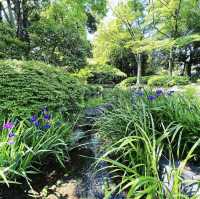 白鳥庭園