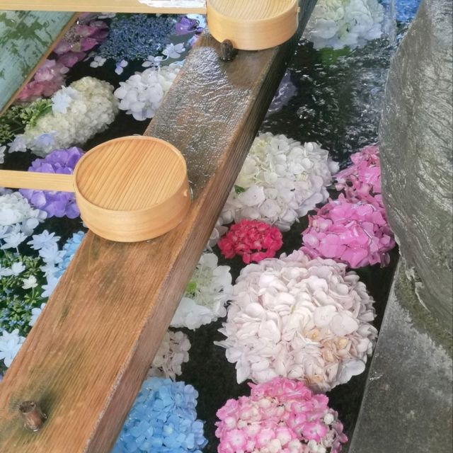 日本超夢幻的水手舍
