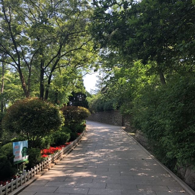중국 칭다오의 풍경을 한 눈에 볼 수 있는, 신호산 공원  중국 칭다오의 풍경을 한 눈에 볼 수 있는, 신호산 공원